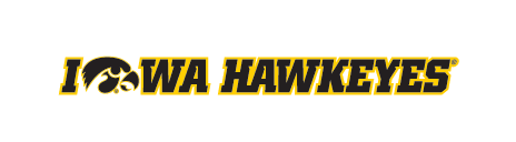 Iowa Hawkeyes Tigerhawk Wordmark, Yellow/Black Horizontal Italic variant, cell 37