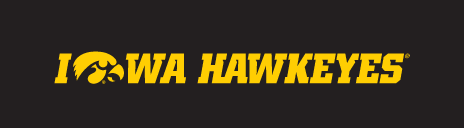 Iowa Hawkeyes Tigerhawk Wordmark, Yellow/Black Horizontal Italic on Black variant, cell 39