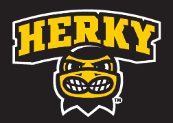 Herky Mascot, head, color on black variant, cell 10