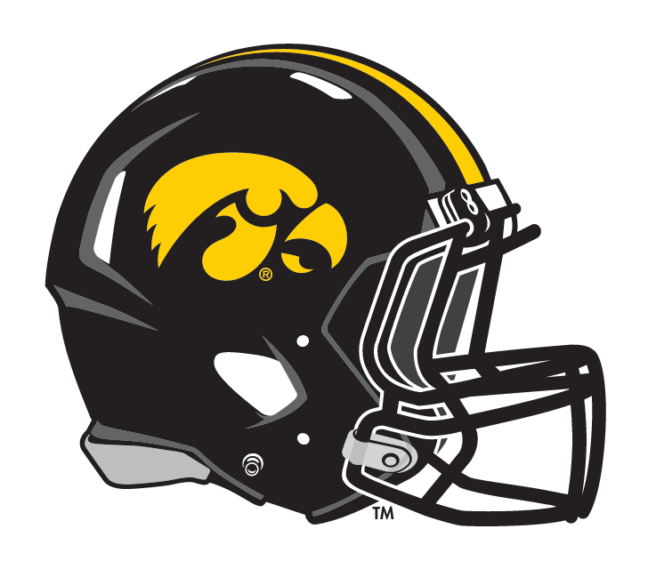 helmet, black with yellow tigerhawk variant, cell 1