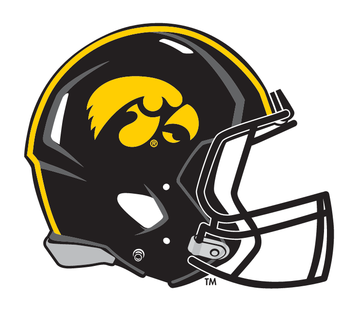 helmet, black with yellow tigerhawk, yellow stripe variant, cell 5