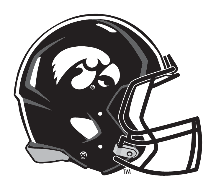 helmet, black with white tigerhawk, white stripe variant, cell 6