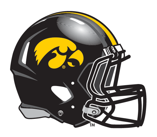 helmet, black with yellow tigerhawk, small variant, cell 7