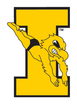 Herky the Hawk on I, diving, color variant, cell 3
