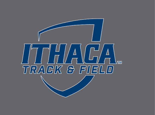 Ithaca shield, Track & Field, full color on grey variant, cell 152