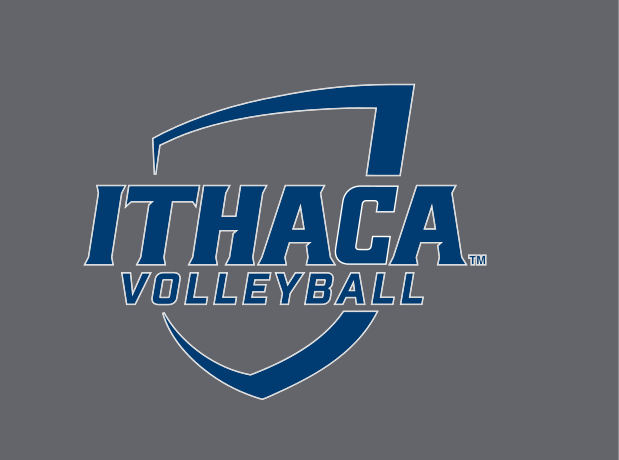 Ithaca shield, Volleyball, full color on grey variant, cell 157