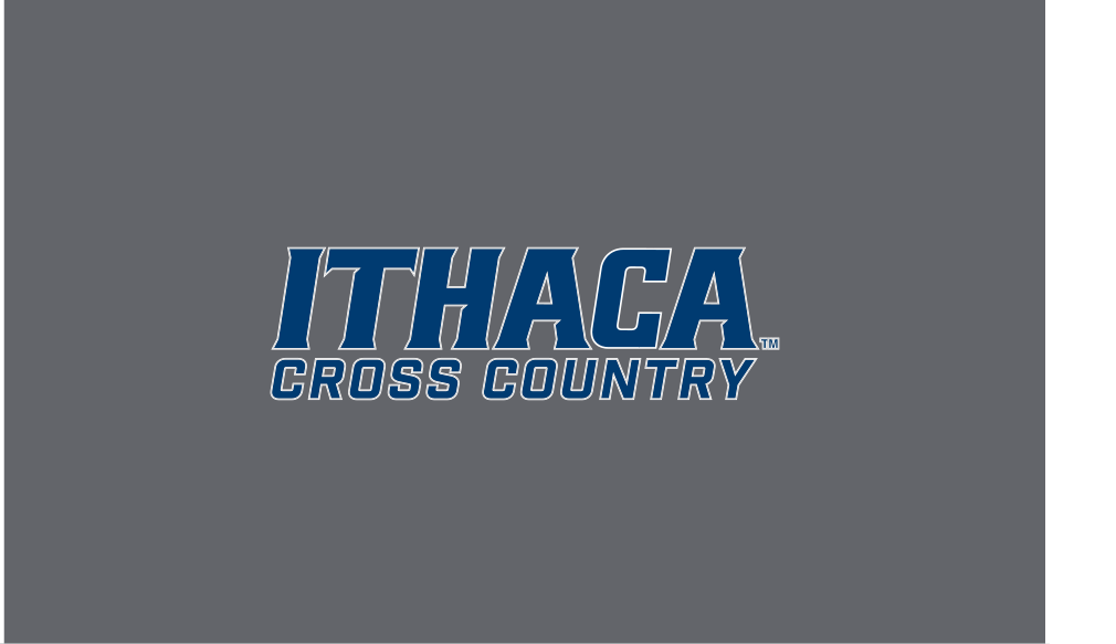 Ithaca Cross Country, blue/white on grey variant, cell 187