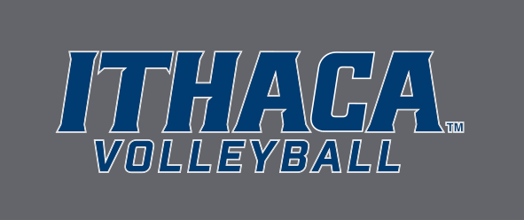 Ithaca Volleyball, blue/white on grey variant, cell 272