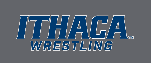 Ithaca Wrestling, blue/white on grey variant, cell 277