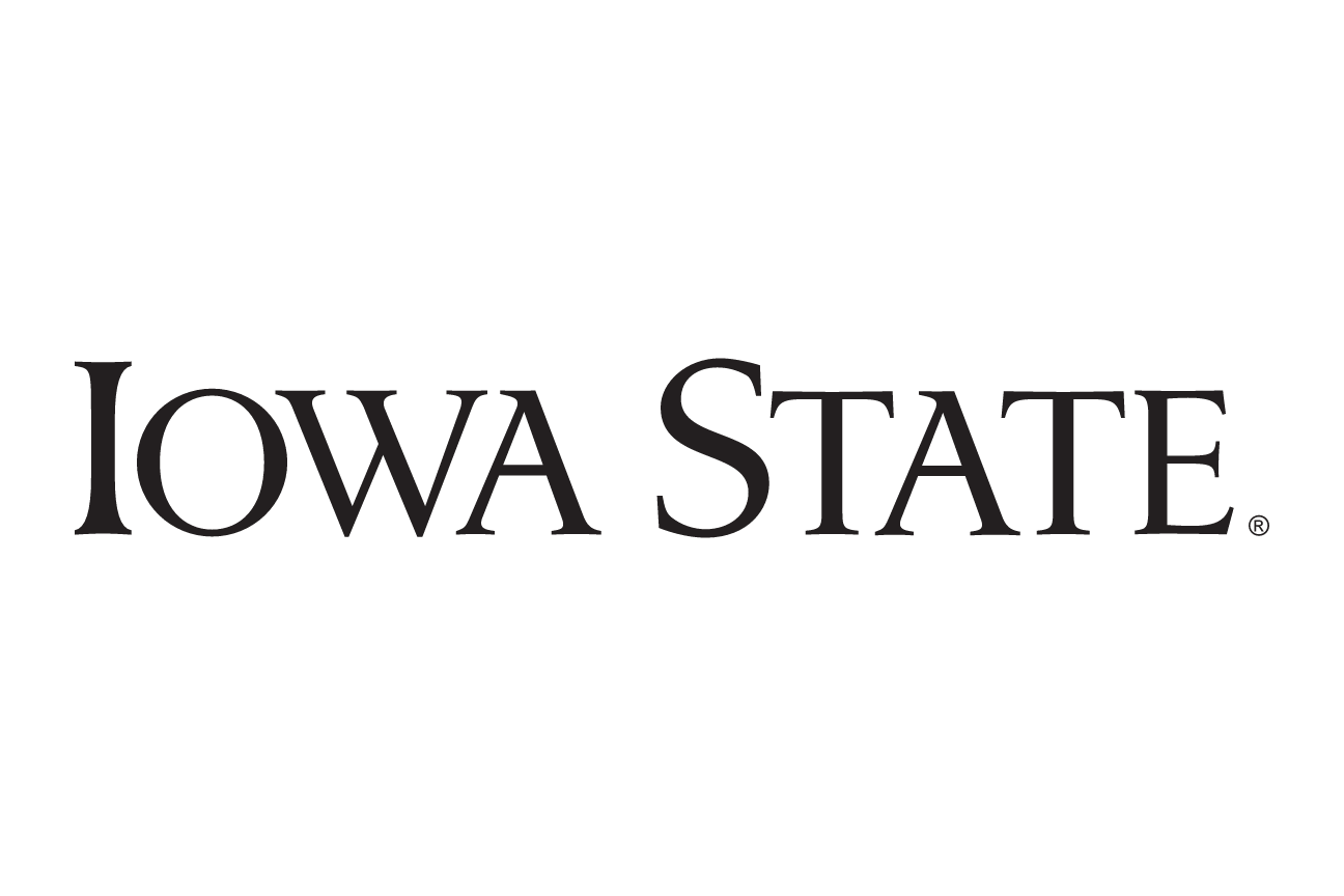 Iowa State wordmark, horizontal, black variant, cell 66