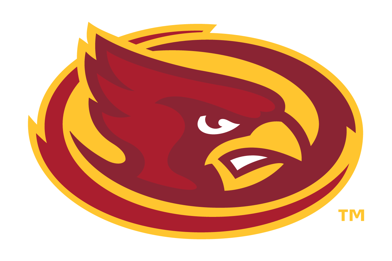 mascot head, color on white variant, cell 28