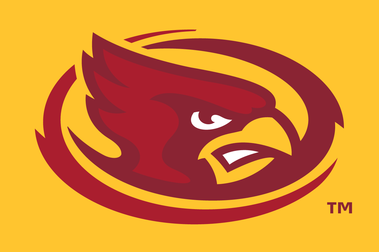 mascot head, color on gold variant, cell 30