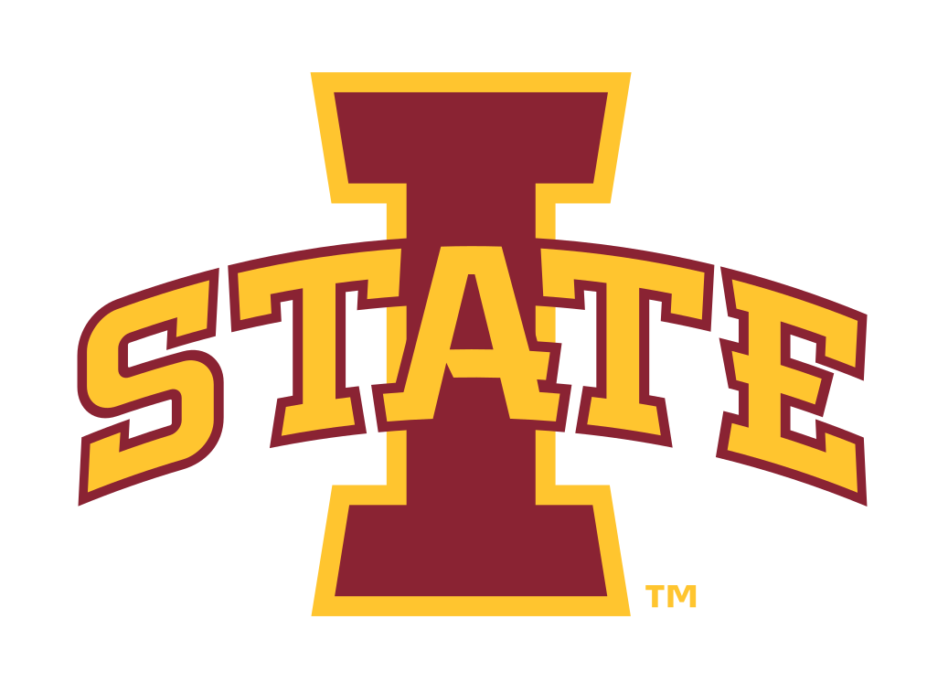 I-State logo, 2-color variant, cell 3