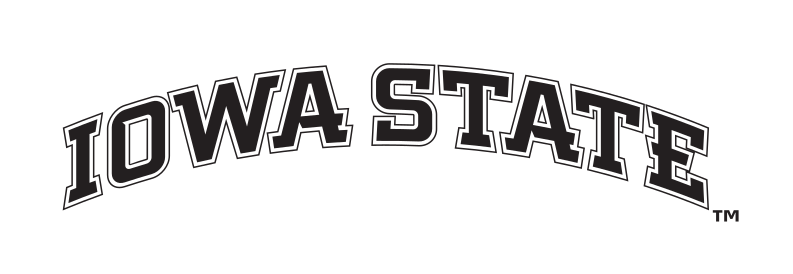 Iowa State wordmark, arched 1-color variant, cell 41