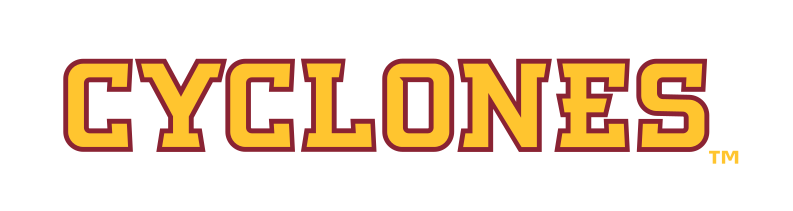 Cyclones wordmark, straight 2-color variant, cell 55