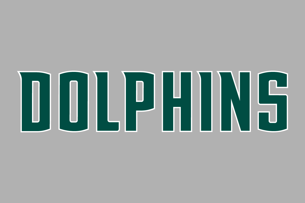 Dolphins wordmark, green and white on grey variant, cell 45