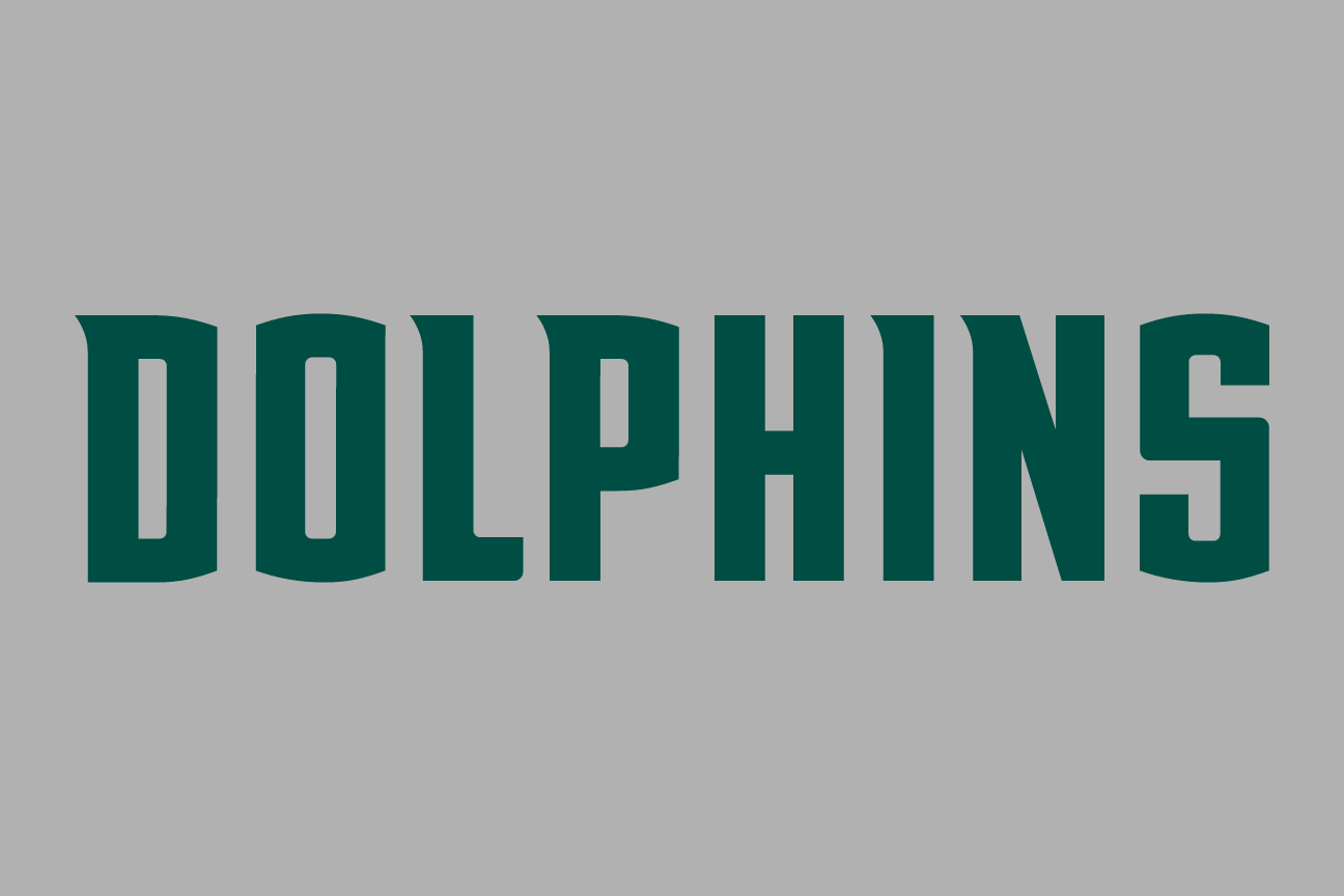 Dolphins wordmark, green on grey variant, cell 49