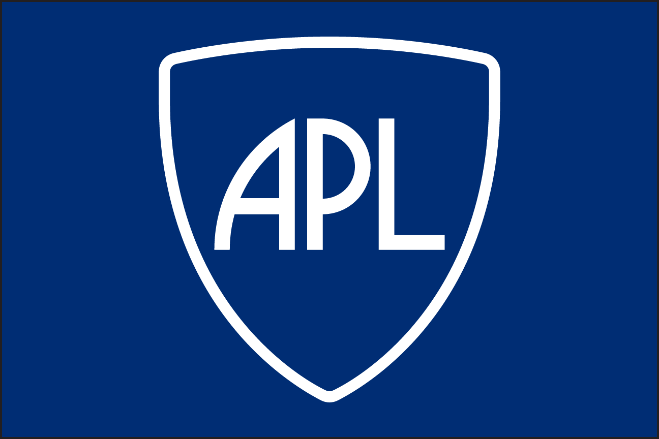 Applied Physics Laboratory Shield, reverse variant, cell 13