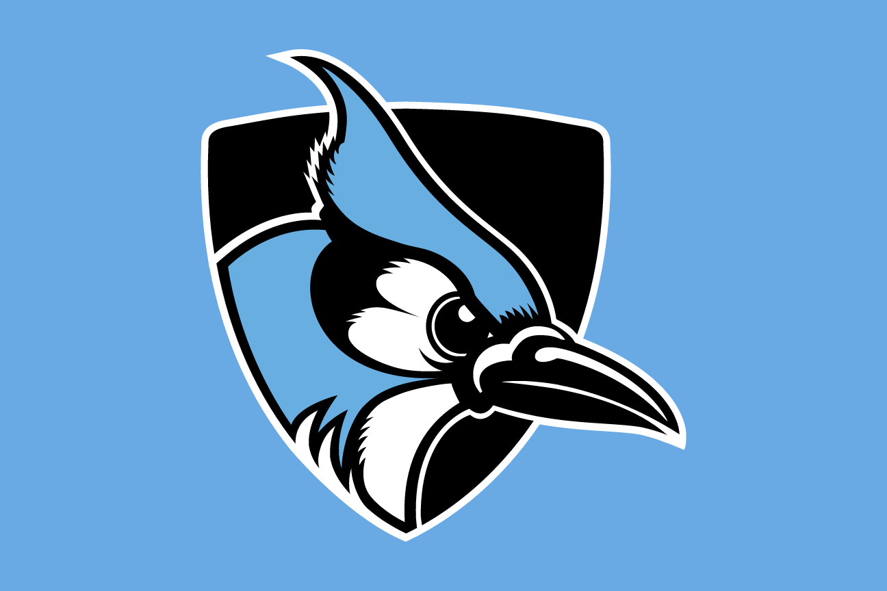 Shielded Jay, color on blue variant, cell 45