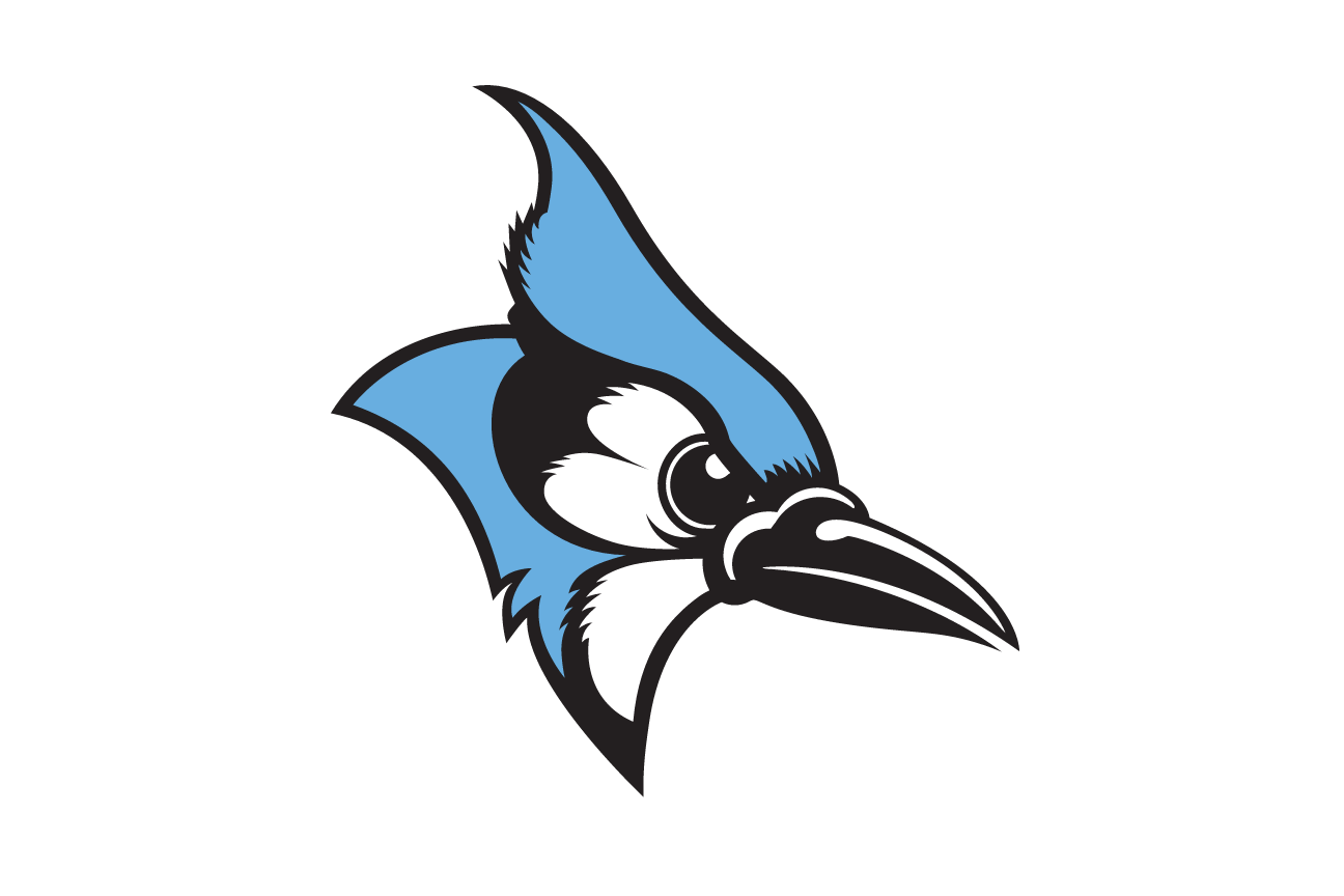 Blue Jay head, profile color variant, cell 64