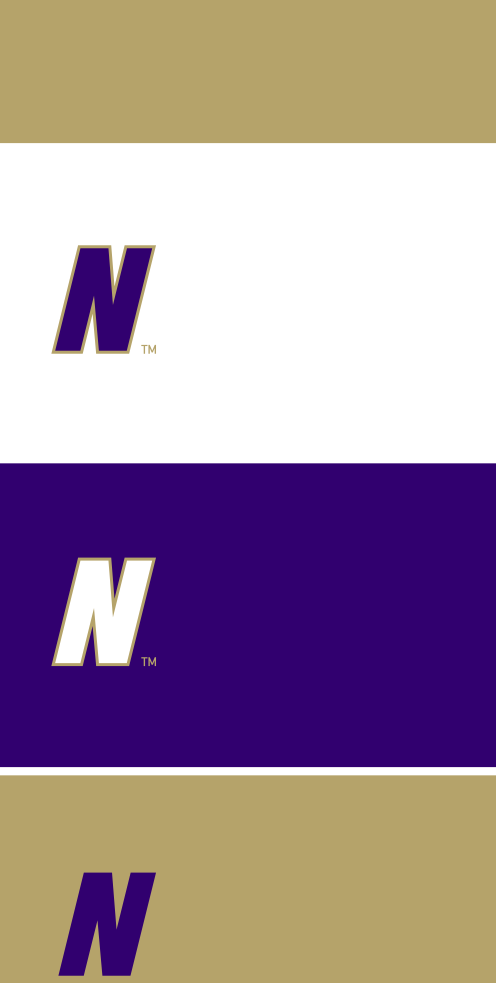 James Madison wordmark, horizontal purple on gold variant, cell 23