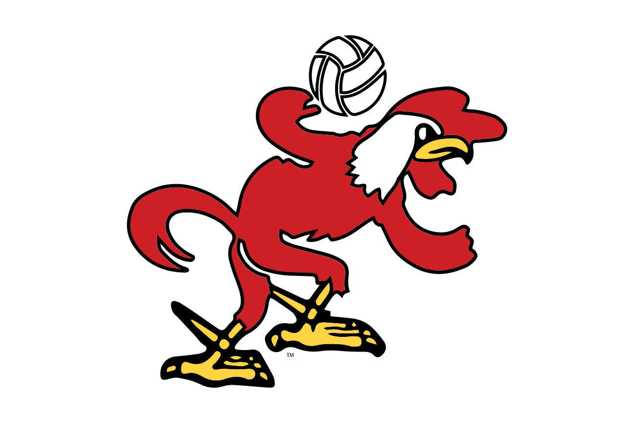 Full-Color AKC, Volleyball variant, cell 26