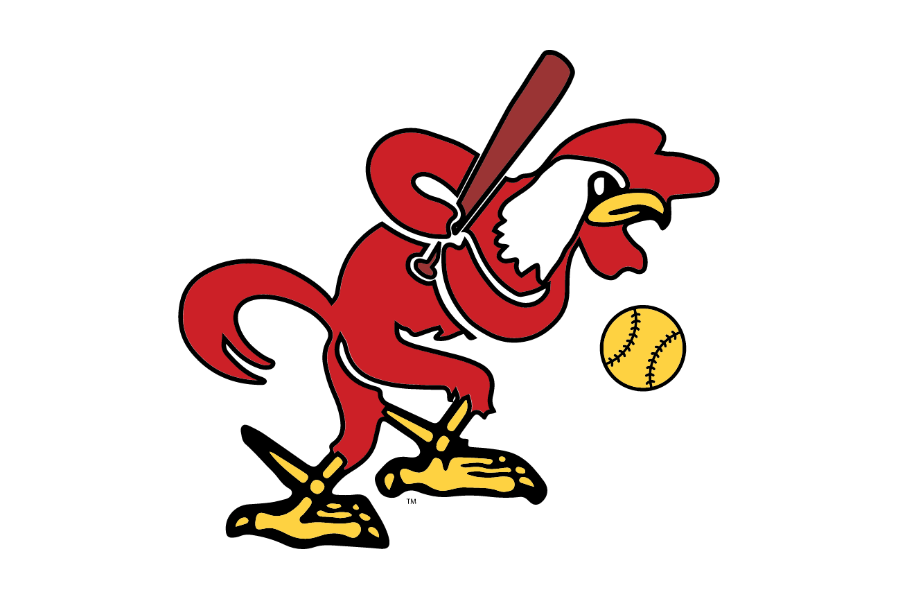Full-Color AKC, Softball - Variant variant, cell 28
