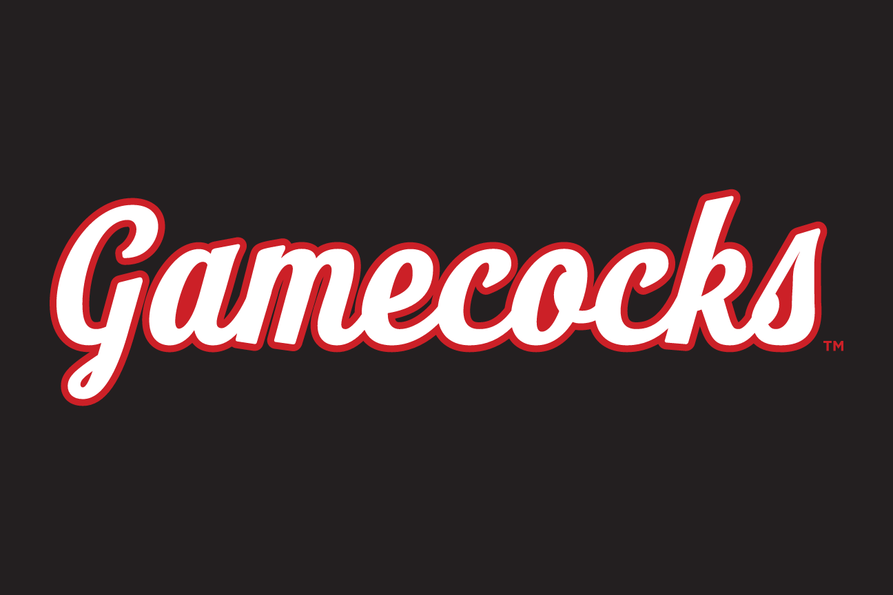 Gamecocks Script Wordmark, white/red outline on black variant, cell 69