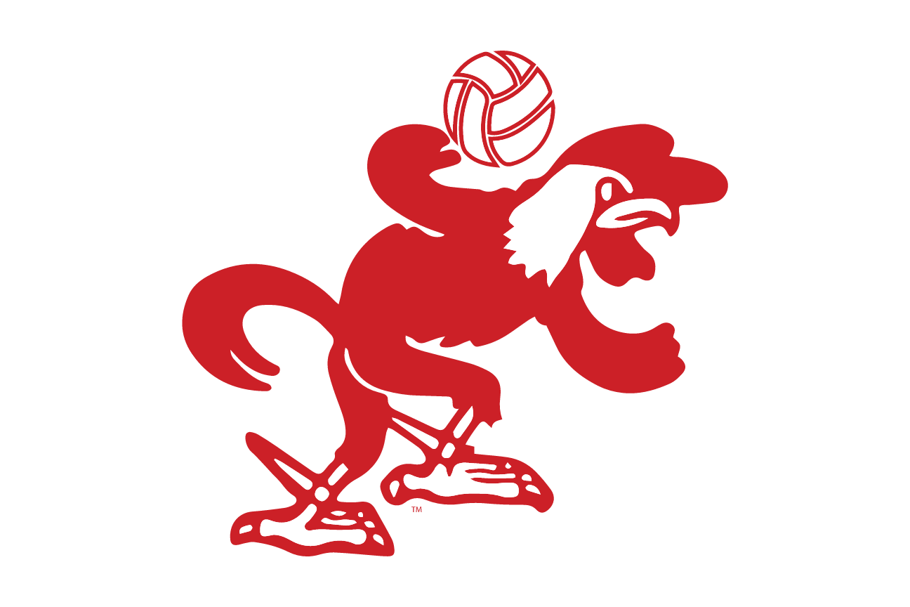 mascot caricature, Volleyball, red variant, cell 97