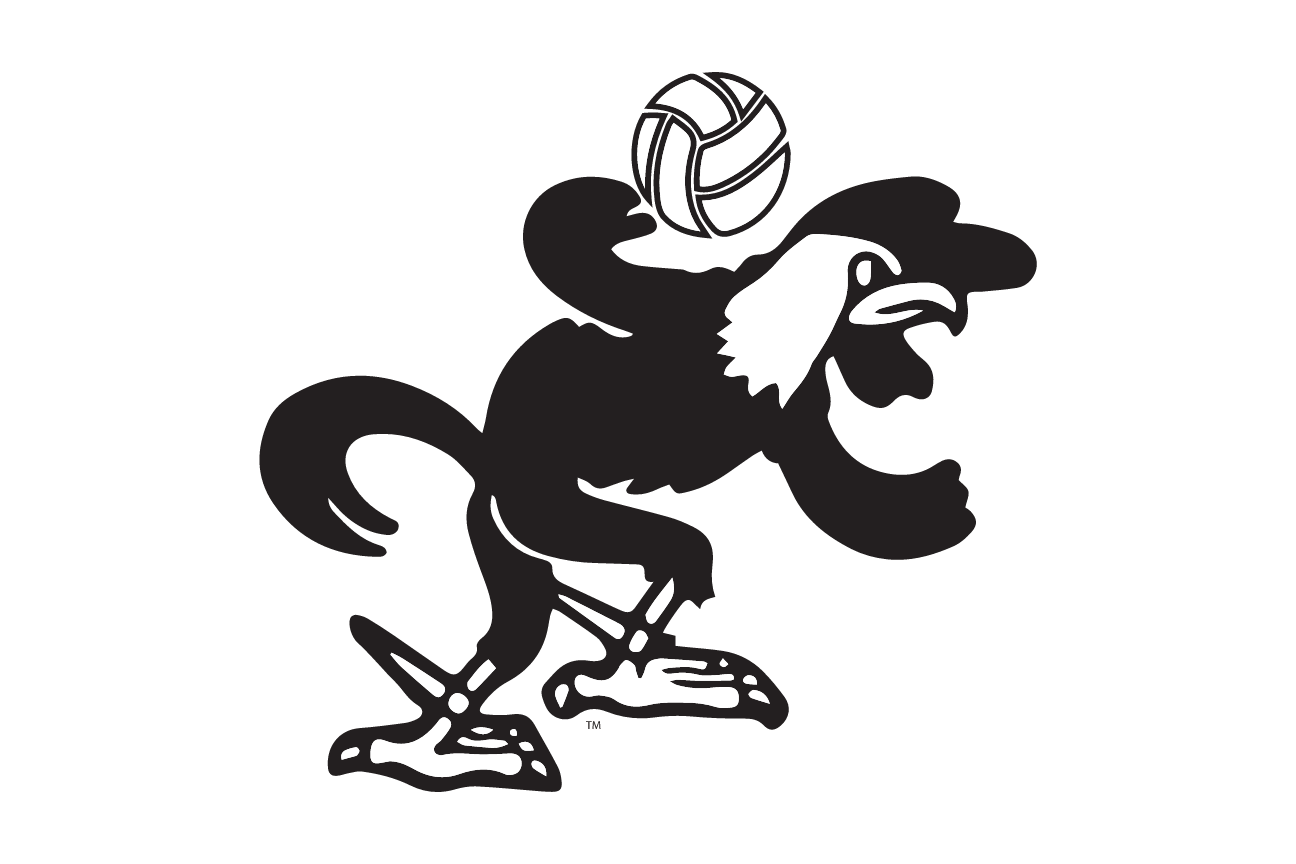 mascot caricature, Volleyball, black variant, cell 98