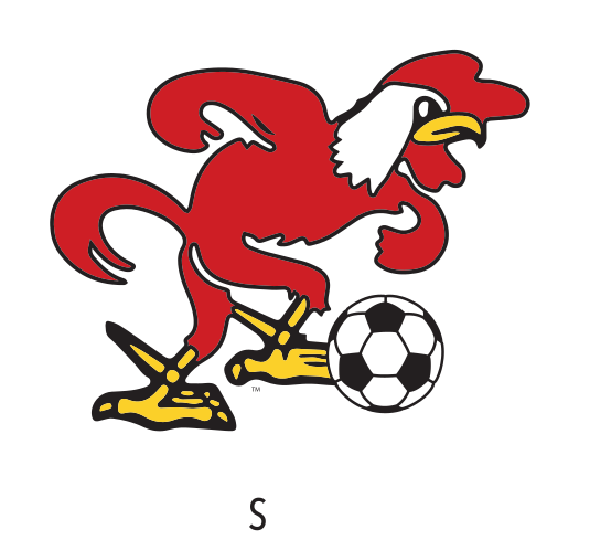 Full-Color AKC, Soccer variant, cell 24