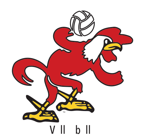 Full-Color AKC, Volleyball variant, cell 26