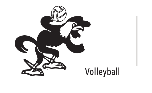 mascot caricature, Volleyball, black variant, cell 98