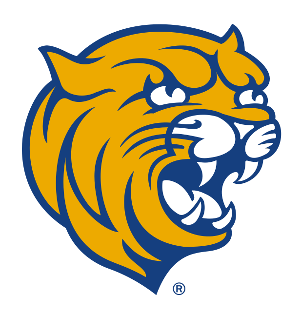 Cat Head, blue and gold variant, cell 63