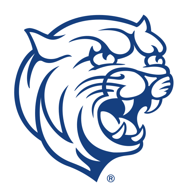 Cat Head, blue variant, cell 64