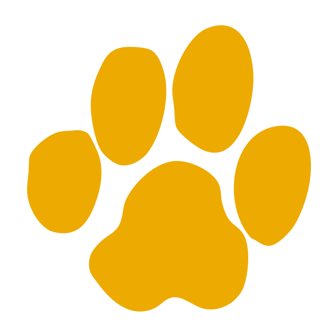 Paw Print, gold variant, cell 78