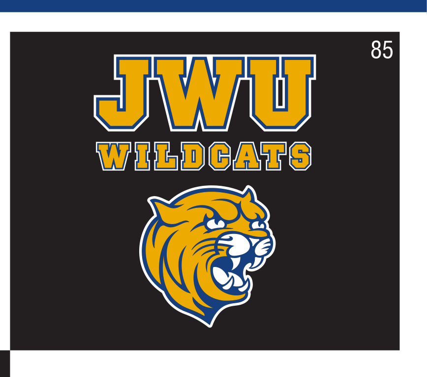JWU Wildcats wordmark with mascot head, color on black variant, cell 85