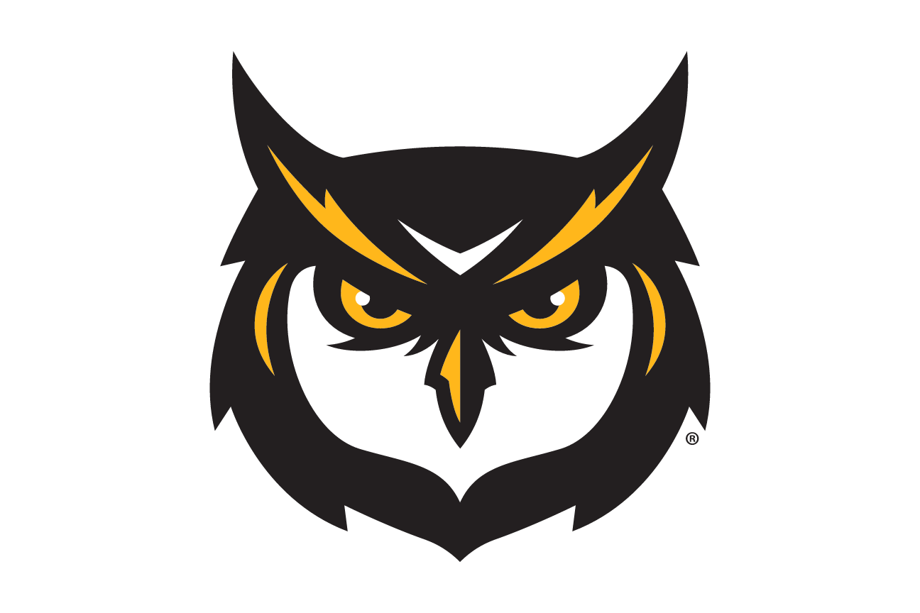 Owl mascot head, color with outline variant, cell 10