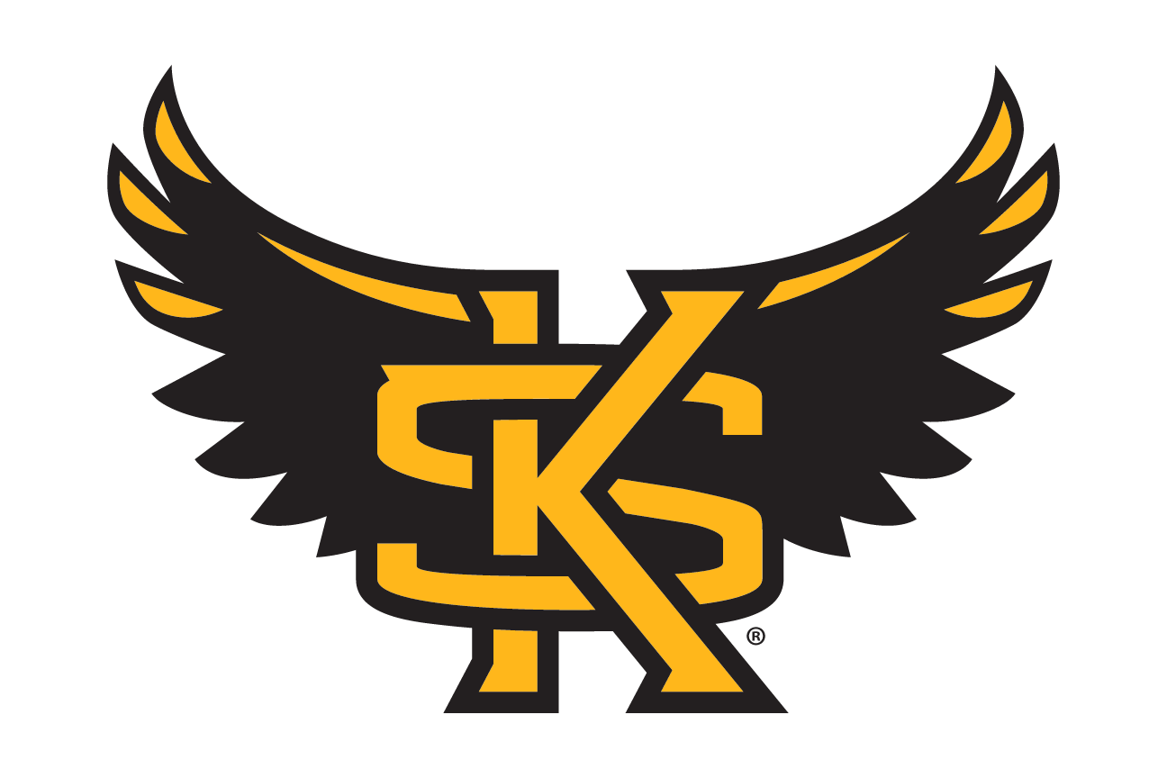 Owl mascot head with wings and KS, color with outline variant, cell 13