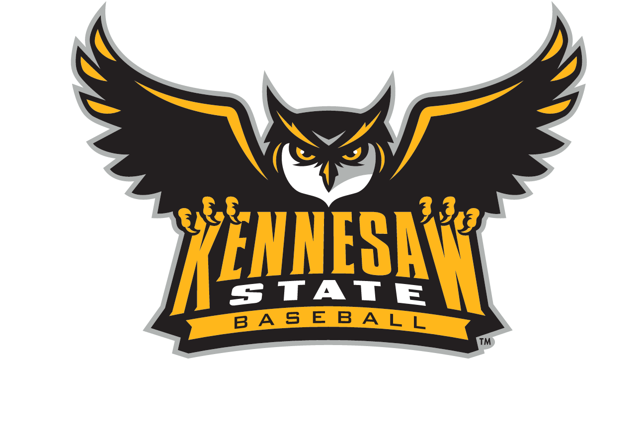 Owl mascot with wordmark, color variant, cell 16