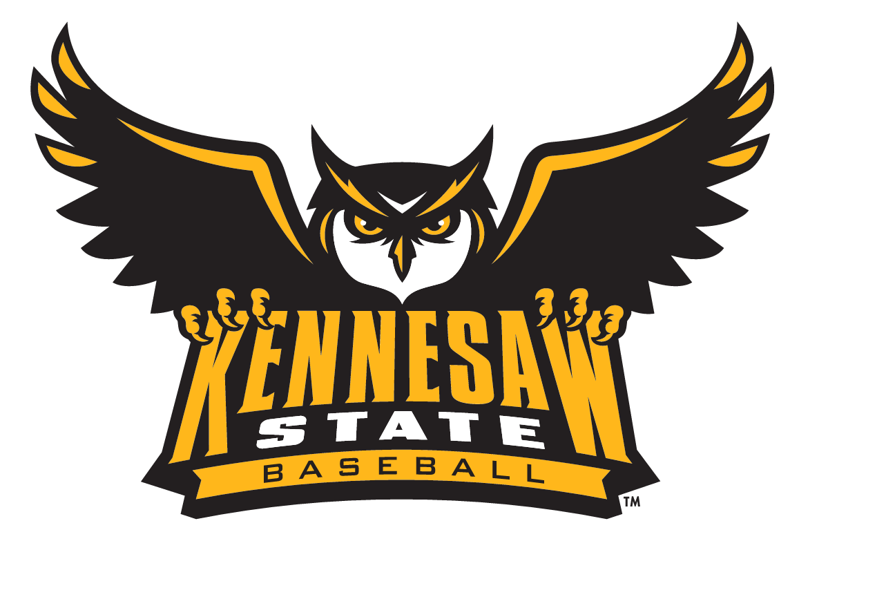 Owl mascot with wordmark, color with outline variant, cell 17