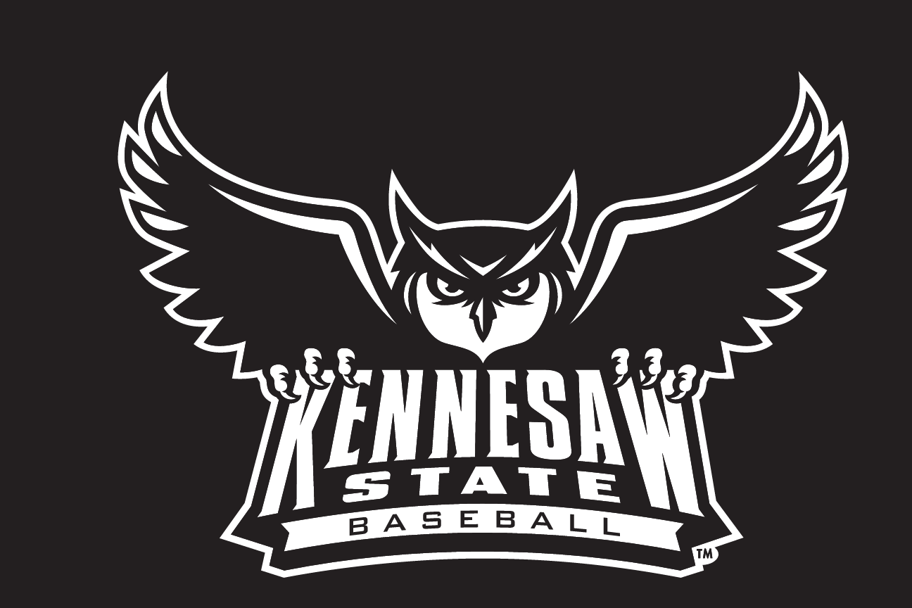 Owl mascot with wordmark, white on black variant, cell 18