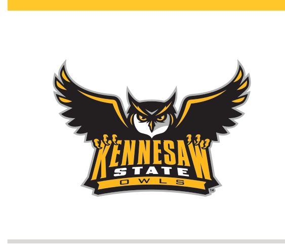 Owl mascot with wordmark, color variant, cell 16