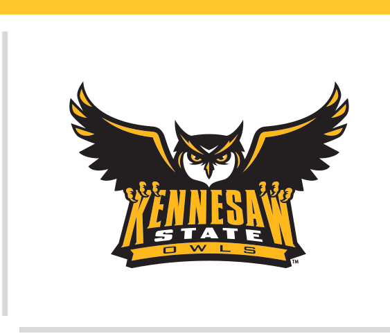 Owl mascot with wordmark, color with outline variant, cell 17