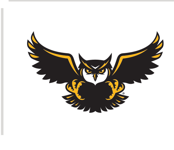 Owl mascot head with wings, color with outline variant, cell 21