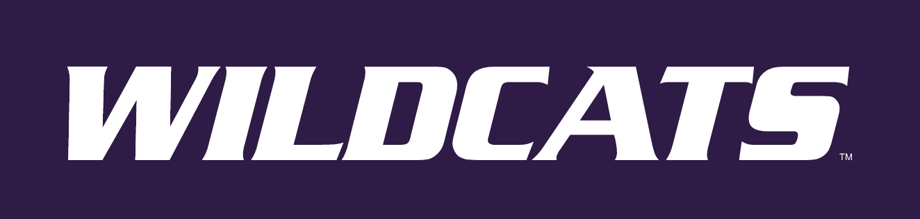 WILDCATS wordmark, white variant, cell 28