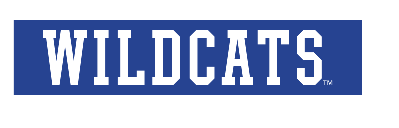 WILDCATS wordmark, white with outline on blue box variant