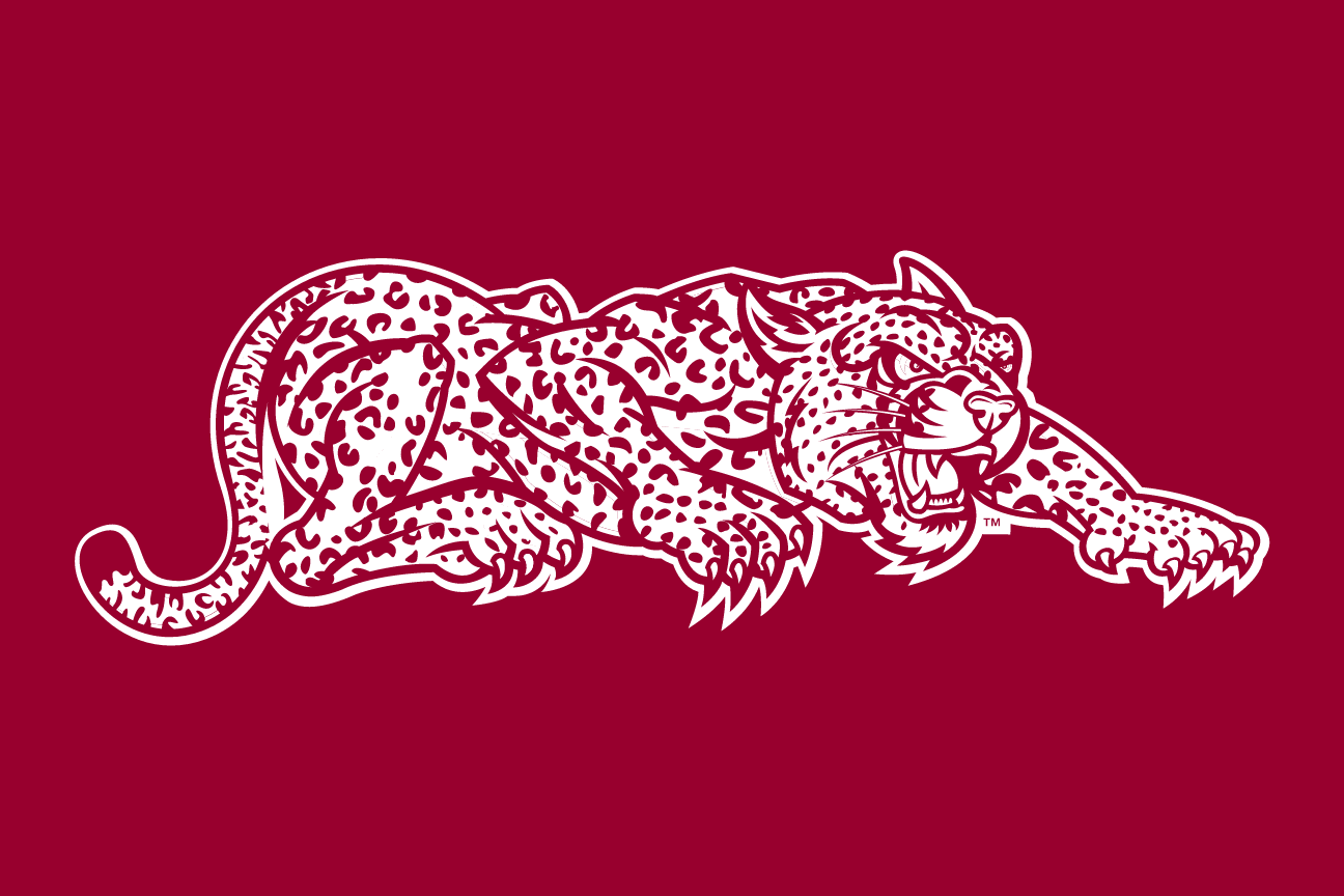 mascot mark, maroon/white on maroon variant, cell 28