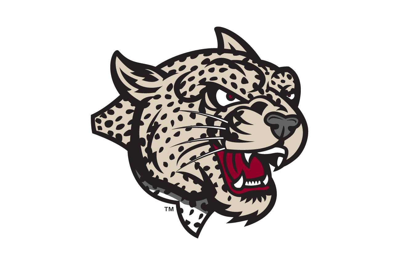 mascot head, full color variant, cell 29