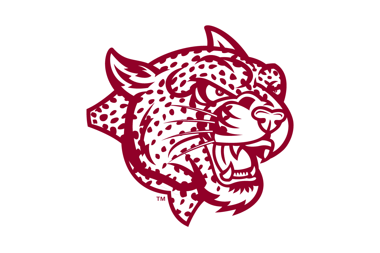 mascot head, maroon/white variant, cell 31